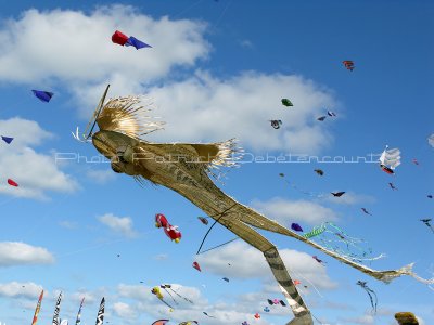 215 Festival international de cerf volant de Dieppe - IMG_5640_DxO WEB.jpg