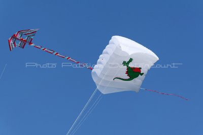 223 Festival international de cerf volant de Dieppe - MK3_9808_DxO WEB.jpg