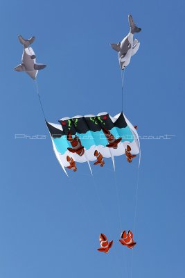 245 Festival international de cerf volant de Dieppe - MK3_9813_DxO WEB.jpg