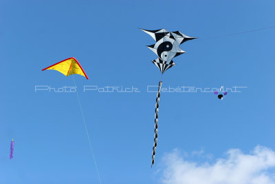 249 Festival international de cerf volant de Dieppe - IMG_7204_DxO WEB.jpg