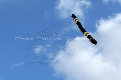 303 Festival international de cerf volant de Dieppe - MK3_9829_DxO WEB.jpg
