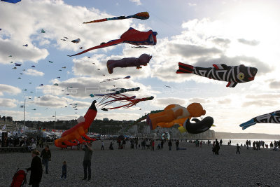 398 Festival international de cerf volant de Dieppe - IMG_7292_DxO WEB.jpg