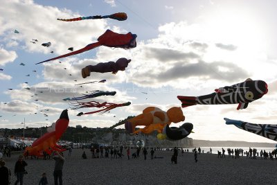 399 Festival international de cerf volant de Dieppe - IMG_7293_DxO WEB.jpg