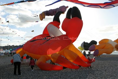 410 Festival international de cerf volant de Dieppe - IMG_7300_DxO WEB.jpg