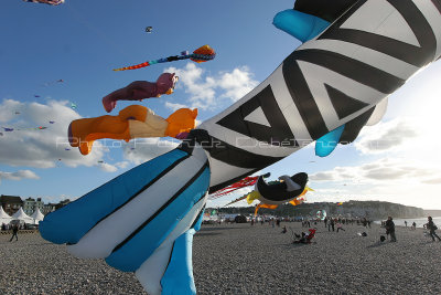 424 Festival international de cerf volant de Dieppe - IMG_7314_DxO WEB.jpg