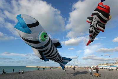 427 Festival international de cerf volant de Dieppe - IMG_7317_DxO WEB.jpg