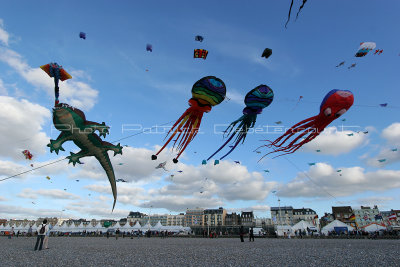 434 Festival international de cerf volant de Dieppe - IMG_7324_DxO WEB.jpg