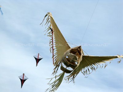 549 Festival international de cerf volant de Dieppe - IMG_5704_DxO WEB.jpg