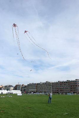 578 Festival international de cerf volant de Dieppe - IMG_7359_DxO WEB.jpg