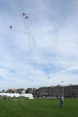 579 Festival international de cerf volant de Dieppe - IMG_7360_DxO WEB.jpg