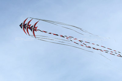 599 Festival international de cerf volant de Dieppe - MK3_0024_DxO WEB.jpg