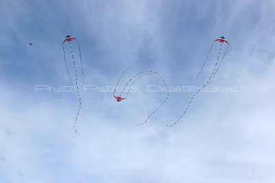 606 Festival international de cerf volant de Dieppe - IMG_7373_DxO WEB.jpg