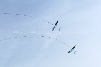 683 Festival international de cerf volant de Dieppe - MK3_0085_DxO WEB.jpg
