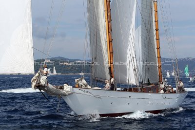 5177 Voiles de Saint-Tropez 2010 - MK3_4604_DxO WEB.jpg