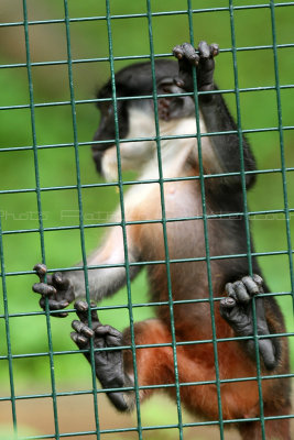 477 Visite du zoo parc de Beauval MK3_7107_DxO WEB.jpg