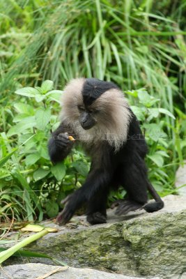 495 Visite du zoo parc de Beauval MK3_7134_DxO WEB.jpg