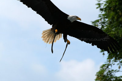 647 Visite du zoo parc de Beauval MK3_7440_DxO WEB.jpg