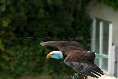 655 Visite du zoo parc de Beauval MK3_7458_DxO WEB.jpg