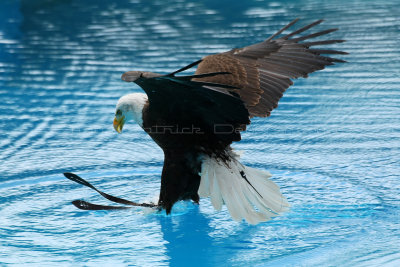 658 Visite du zoo parc de Beauval MK3_7462_DxO WEB.jpg