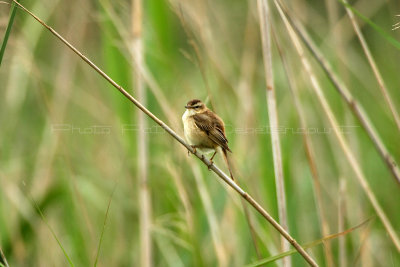 MK3_6112_DxO WEB.jpg