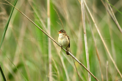 MK3_6116_DxO WEB.jpg