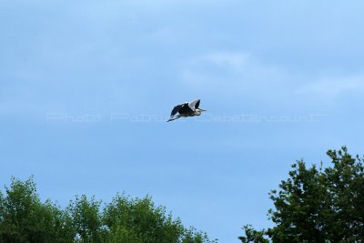 MK3_6288_DxO WEB.jpg