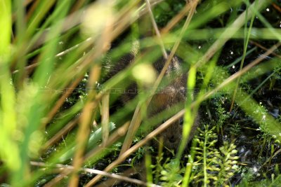 MK3_6311_DxO2 WEB.jpg
