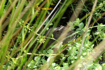 MK3_6316_DxO2 WEB.jpg