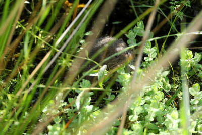 MK3_6317_DxO2 WEB.jpg