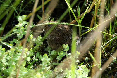 MK3_6319_DxO2 WEB.jpg
