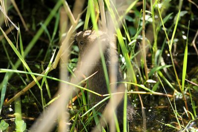 MK3_6325_DxO2 WEB.jpg