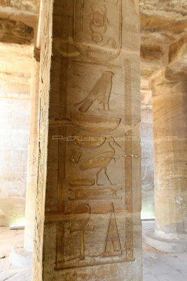 1919 Vacances en Egypte - MK3_0817_DxO_2 WEB2.jpg