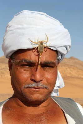 2006 Vacances en Egypte - MK3_0904_DxO WEB2.jpg