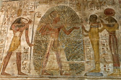 2027 Vacances en Egypte - MK3_0925_DxO_2 WEB2.jpg