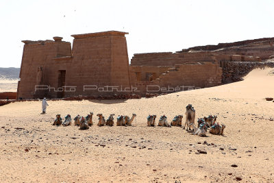 2322 Vacances en Egypte - MK3_1221_DxO WEB2.jpg