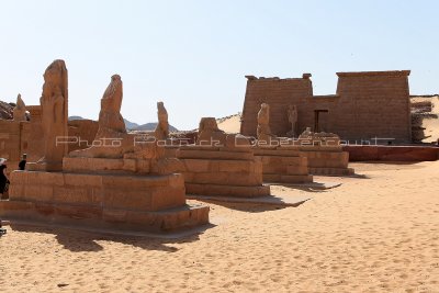 2328 Vacances en Egypte - MK3_1228_DxO WEB2.jpg