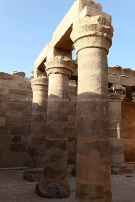 2516 Vacances en Egypte - MK3_1419_DxO WEB2.jpg