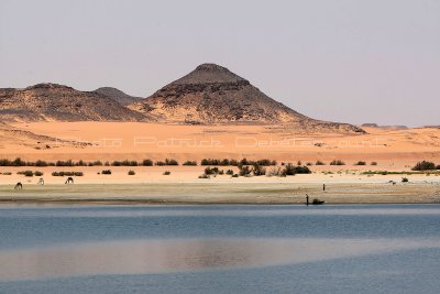 2289 Vacances en Egypte - MK3_1188_DxO WEB2.jpg