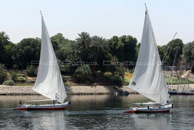 3014 Vacances en Egypte - MK3_1935_DxO WEB.jpg