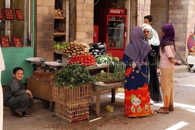 Promenades dans les rues d'Assouan, l'oblisque inachev, le cimetire musulman, et visite du jardin botanique