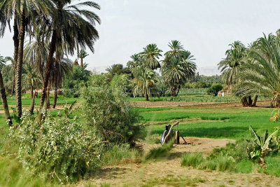 3241 Vacances en Egypte - MK3_2169_DxO WEB.jpg