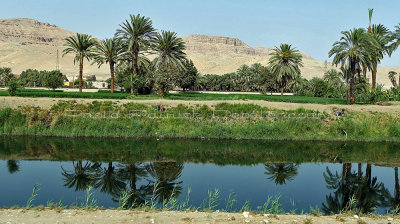 3257 Vacances en Egypte - MK3_2185_DxO WEB.jpg