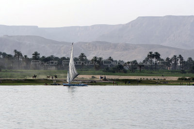 3301 Vacances en Egypte - MK3_2229_DxO WEB.jpg