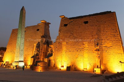 Egypte 2010 - Visite de nuit du temple de Louxor / Louxor temple by night