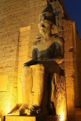 3336 Vacances en Egypte - MK3_2264_DxO WEB2.jpg