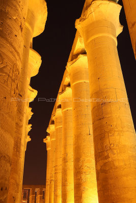 3361 Vacances en Egypte - MK3_2289_DxO WEB2.jpg