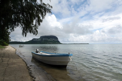 2 weeks on Mauritius island in march 2010 - 2556MK3_1563_DxO WEB.jpg
