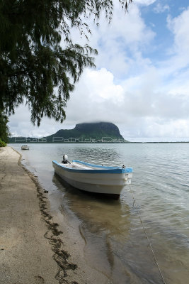 2 weeks on Mauritius island in march 2010 - 2560MK3_1567_DxO WEB.jpg