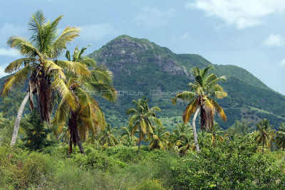 2 weeks on Mauritius island in march 2010 - 2613MK3_1621_DxO WEB.jpg
