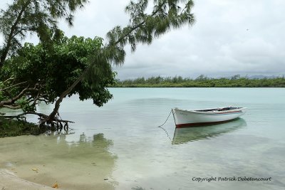2 weeks on Mauritius island in march 2010 - 2011MK3_1223_DxO WEB.jpg